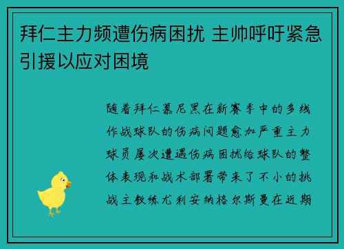 拜仁主力频遭伤病困扰 主帅呼吁紧急引援以应对困境
