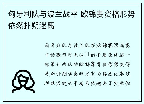 匈牙利队与波兰战平 欧锦赛资格形势依然扑朔迷离